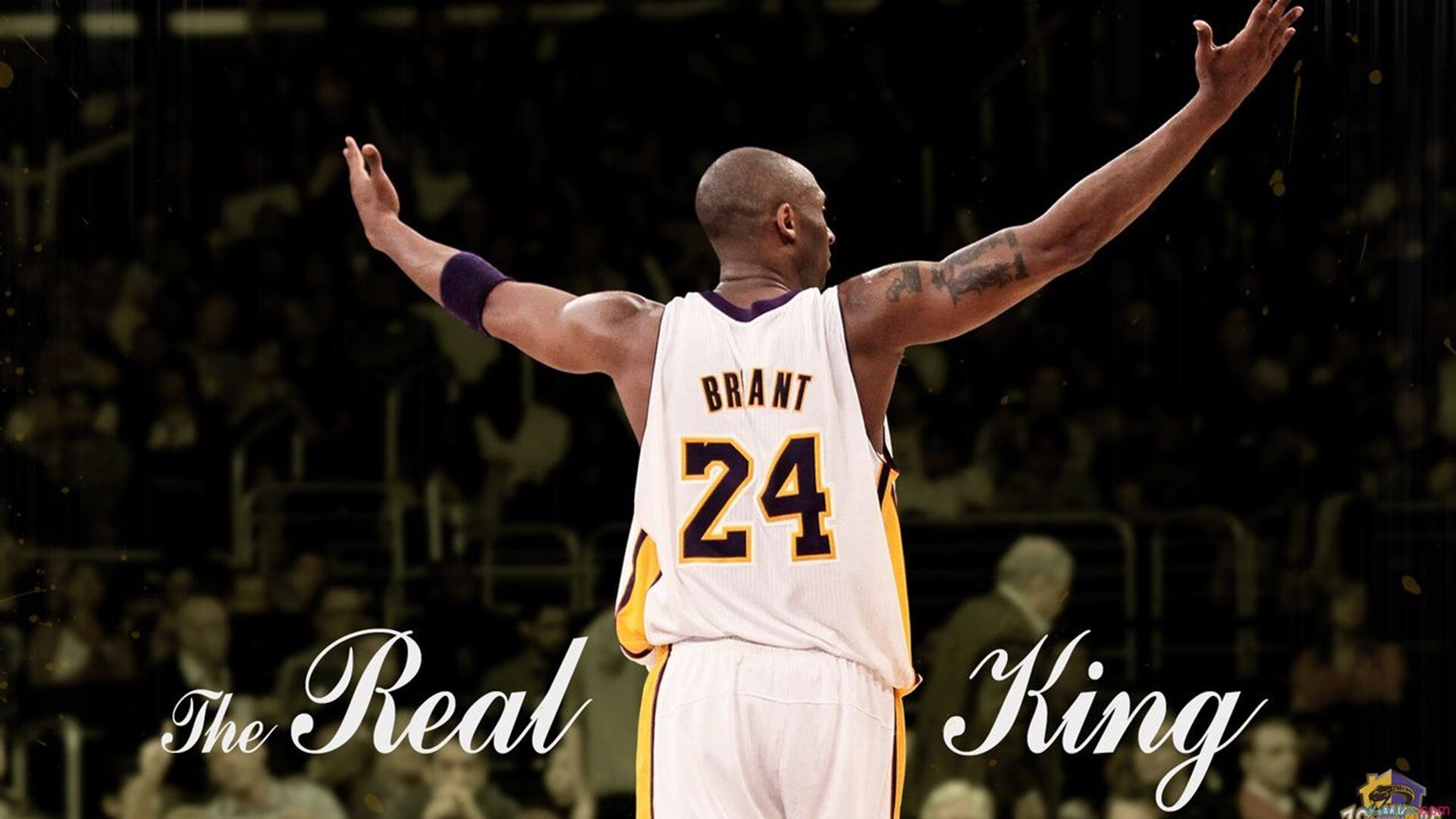 极限运动热潮席卷全球,挑战自我,突破边界