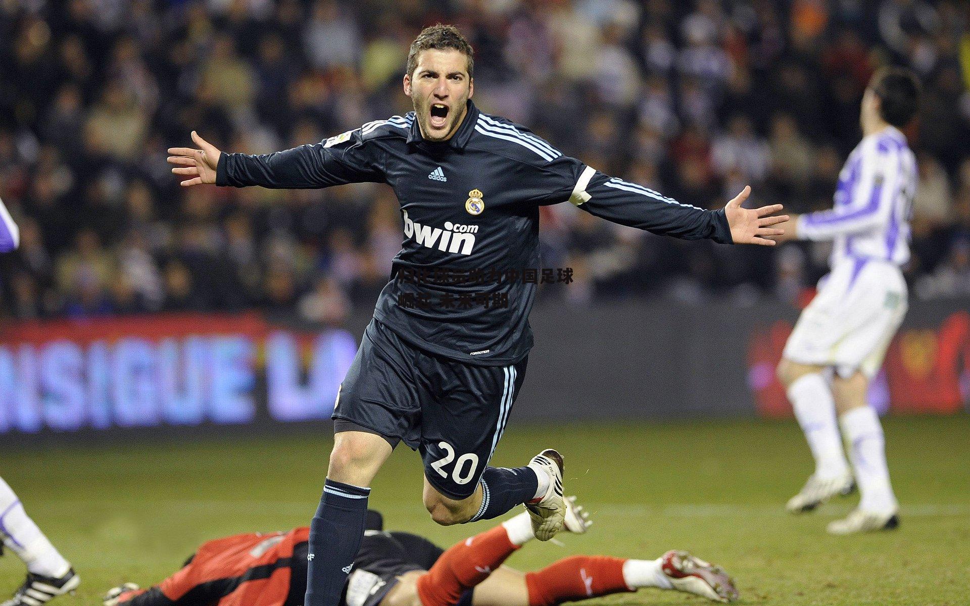 归化球员助力中国足球崛起 未来可期